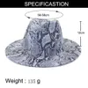 Snake print Jazz cowboy hat for women men autumn winter fashion wool Wide Brim Cap unisex bowler fedora hats