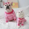 Odzież dla psa moda pies ubrania sprężyna zima ciepłe pulower psy kostium różowy dzianiny sweter kota pies kurtka szczeniaka dla zwierząt domowych 231129