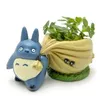 Maceta Kawaii Bulbasaur, maceta suculenta, maceta verde bonita con agujero, minibolsa trasera de resina Y200723195P