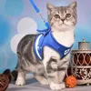 Katzenhalsbänder führen Reflektierende Geschirre für Kätzchen Atmungsaktives Zubehör Verstellbares Haustierwestenhalsband Personalisierter kleiner Hundetropfen