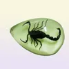 YQTDMY 12 PCS Insect Fashion Scorpion Hanger Style Luminous Small Adorn Artikel 59417531991339