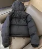 Parkas en duvet pour femmes, nouvelle collection hiver 2023, robe de comptoir courte, décontractée, polyvalente, doudoune pour femmes, YDLT