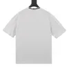 Męskie koszulki Polos Haftowane i wydrukowane letnie zużycie w stylu polarnym z ulicą czyste bawełniane 2f2rr