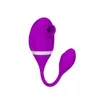 Shock Absorbing Egg Skipping Magnetic Suction Charging Female Masturbation Device Female Clitoris Stimulation Sucking Vibration