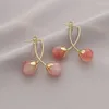 Boucles d'oreilles à clous pour femmes, Design de Niche, pendentif tomate rose, élégant, haute qualité, Clip de bobine de moustique sans trous