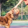 Brinquedos para cães mastiga bola de brinquedo para cães de estimação bola de borracha elástica resistente à mordida pequeno médio e grande bola de jogo interativo para treinamento de cães 231129