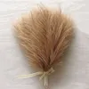 Torkade blommor konstgjorda fluffiga pampas gräsbukett 10 st bröllopsfest dekoration boho falsk vass växt för diy rum hem dekor blommor 231130