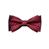 Bow Ties Men's Groom's Wedding Tie Red Suit Shirt Business Double Checkered Stripe