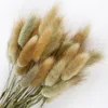 Flores decorativas 1 bando de pampas naturais grama de grama seca cauda buquê herbe lagurus ovatus decoração de casa acessórios de casamento