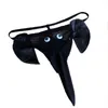 Cuecas Mens Elefante Thongs Nariz Biquíni Masculino Cueca Low Rise G-String Sólido T-Back Briefs Bolsa Calcinha Engraçado