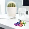 Party -Dekoration Frucht Ornamente Desktop Pflanze Kristalltrauben Herzstück Papiergewicht Tisch Schmuck