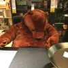 豪華な人形40cm 100cmシミュレーションDjungelskog Hear Bearg Giant Teddy Toy Stifted Animals Soft Cushion Girl Kids Birthday Gift 231129