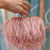 Borse a tracolla Luxury Struzzo Feather Party Pochette da sera 2023 Borse da donna per designer di matrimoni Borsa a catena piccola 230426