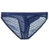 Slips Sexy Hommes Sissy Slips Elephant Nose String Homme Ultra-mince Mesh G-String Taille Basse Bikini Culotte Gay Homme Sous-Vêtements Érotiques