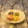 Strings Fairy Light 1m 5m 10m 100 LED Starry String Luzes USB Micro Transparent Wire for Party Christmas Wedding 6 Colorsled