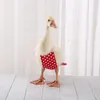 Outros pássaros suprimentos de pato roupas de pato cole pato fralda de frango papel fralda de ganso pato fralda de calça de pato suprimentos