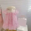 Mädchen es Mädchen Sommer Mesh Oberbekleidung Kinder Kleidung Baby Kinder Kleidung Süße Blumen Vestidos Roman Rosa Blume Prinzessin Kleid 0131