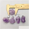 魅力Irregar Amethyst Pillar Natural Stone Chakra Healing Crystal Pendant Diy Necklace Earrings Jewelry Making Drop Defive Dhgarden DH14K