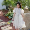 Flickans 2022 Summer Girls New Princess Children Retro Clothing Kids Mesh Puff Sleeve Dresses #6926 0131