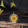 Hanger Kettingen Mode Echte Droge Zonnebloem Hand Gemaakt Natuurlijke Dip Daisy Ketting Voor Vrouwen Gift Diy Sieraden Accessoire Touw Trui Otljr