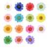 Ghirlande di fiori decorativi 2-3cm Fiore secco pressato margherita per collana pendente in resina Creazione di gioielli Craft fai da te Scrapbook per nail art 50 pezzi / P