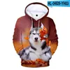 Sweats à capuche pour hommes 3D imprimé Husky hommes femmes unisexe sweats mode Harajuku enfants à capuche automne animal chien garçons filles pulls décontractés