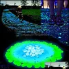 Decorações de jardim 100pcs/lote pedras luminosas brilham em seixos decorativos escuros passarelas de grama aquário fluorescente Drop Deliver dhbqu