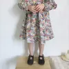 Новое весеннее поступление, модные детские милые детские платья принцессы с длинными рукавами и цветочным принтом для девочек #8459