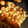 Strings Christmas LED Fairy Lights Decor Garland Curtain String Light Bedroom Ornament Xmas Tree Props Navidad Year