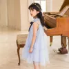 Mädchenmode Mädchen Mesh Prinzessin Kleid 2022 Sommer Kinder Adrette Kleidung Niedliche Kinder Partykleider Ärmellos #6810 0131