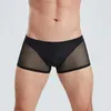 Underpants 2023 Sexy Mens Mesh Lingerie Sheer Breathable Transparent Briefs Shorts Stretch Ultra-thin Panties Boxer Underwear