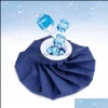 Autres articles ménagers réutilisables 6 pouces sac de glace pour blessures sportives tissu de refroidissement médical personnalisable bleu premiers soins soins de santé froid le Dhugv