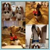 Vêtements de chien Sangle réglable Pet Bow Tie Collier Collier Collier Chiot Bright Cat Lapin Bowtie Mix Couleur Drop Livraison Accueil OTN2