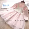 Clothing Sets 2023 Spring Girls Pink Princess And Lace Vest Children Set Kids 2pcs Suits Wholesale