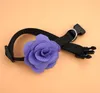 Collares para perros 120 unids/lote Pet Rose Flower Cat Collar accesorios de aseo al por mayor