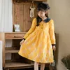 Ragazza 2023 Spring Girls Abito ricamato Nuova vita che si restringe Abbigliamento per bambini Abiti da principessa per bambini # 7254 0131