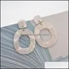 Charm Fashion Akrylsyraharts Drop ￶rh￤ngen Oval Dangle For Women Long Pendant Jewelry 4 Colors Leverans Otbor