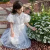 Flickans 2022 Summer Girls New Princess Children Retro Clothing Kids Mesh Puff Sleeve Dresses #6926 0131