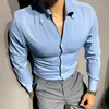 Casual shirts voor heren trendmerk mode Koreaanse solide kleur Britse windsor kraag lange mouw zakelijke slanke fit jurk 230201