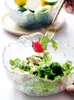 Skålar japansk stil klar glas skål sallad oregelbunden kreativ onormal form hushåll stor frukt söt dessert