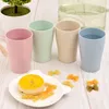 Dinnerware Sets 4 Pcs Healthy Kitchen Bowl & Eco Friendly Wheat Straw Biodegradable Mug Cup