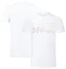 2024 F1 Polo-Shirts T-Shirt Formel 1 T-Shirts Rote Team T-Shirt Sommerrennen Zuschauer Atmungsaktives T-Shirt Schnell trockenes Motocross-Trikot