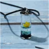 Pendant Necklaces Women Fashion Jewelry Bottle Necklace Glass Dry Flower Slide Drop Delivery Pendants Dhzrl