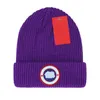 Projektantka czapka dzianina INS popularny kanada jesienna zima czapki