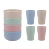 Dinnerware Sets 4 Pcs Healthy Kitchen Bowl & Eco Friendly Wheat Straw Biodegradable Mug Cup