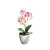 Decorative Flowers & Wreaths Plastic Fake Plants Simulation Artificial Flower Silk Butterfly Orchid With Pots Indoor Decoration Home Phalaen