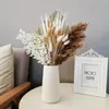 Dekorativa blommor Pampas Grass Palm Dried Flower Natural Bouquet Arrangement Bröllopsfest Dekor Juldekoration för levande hembord