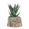 Dekoracyjne kwiaty wieńce 2PCS Symulacja soczysta sztuczna roślina Bonsai Dekoracja pulpitu Fałszywe rośliny doniczkowe zielone (kaktus i aloes)