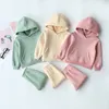 Kleidung Sets Frühling Herbst Kinder Mädchen Kleidung Baby 2 stücke Winter Kinder Pullover Hosen Für Jungen Baumwolle Tops Mit Kapuze anzüge 230202