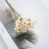 Decorative Flowers & Wreaths 30pcs Dried Preserved Mini Daisy Flower Natural Fresh Wedding Bouquet Party Table Decoration Accessories Home R